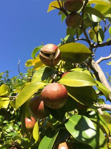 IMG_1719