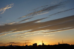 DSC04521