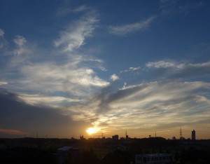 DSC05155