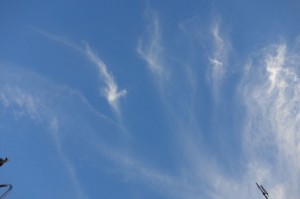 DSC05161