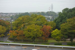 DSC05173