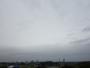 DSC05174