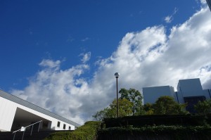 DSC05208