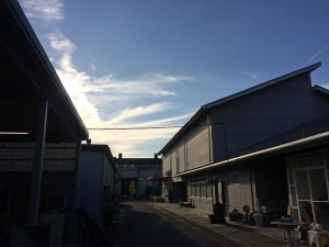 IMG_1787