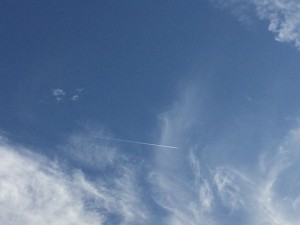 IMG_1789