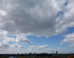 DSC05290