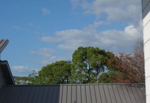 DSC05294