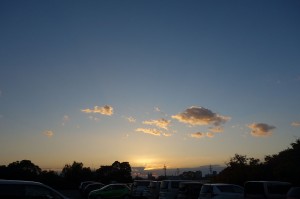 DSC05300