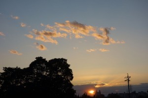 DSC05312