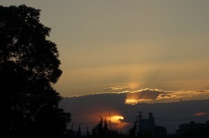 DSC05316