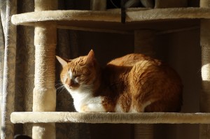 DSC05327