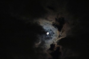 DSC05347