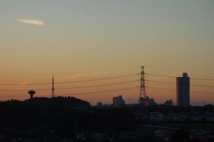 DSC05354