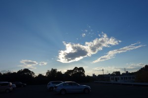 DSC05612
