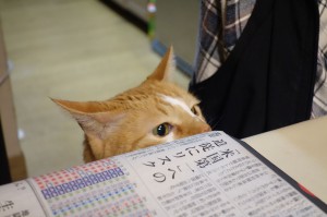 DSC05629