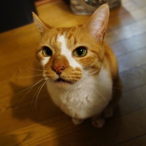 DSC05637