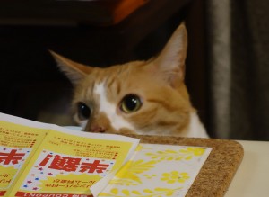 DSC05646