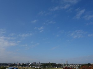 DSC05719