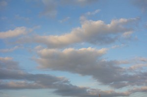 DSC05825