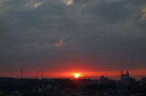 DSC05851