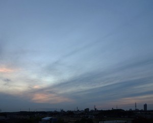 DSC05864