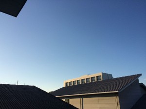 IMG_1870