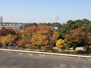 IMG_1879