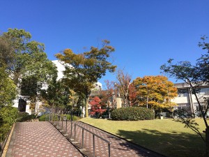 IMG_1886
