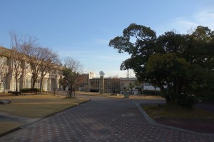DSC06161