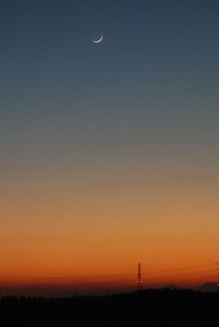 DSC06376b
