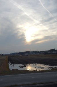 DSC06403