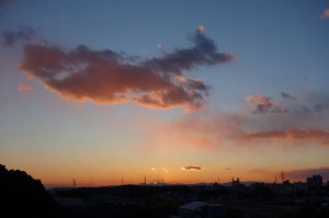 DSC06505