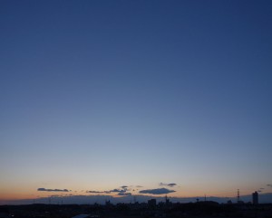 DSC07029