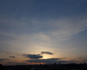 DSC07330