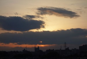 DSC07331