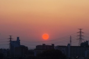 DSC07355