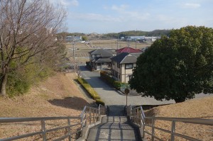 DSC07511