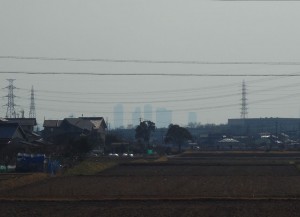 DSC07524