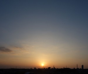 DSC07529