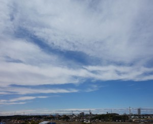 DSC07603