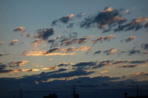 DSC07616