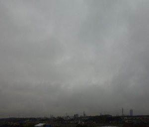 DSC07837