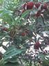 060706_1046~0001.jpg