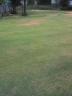 060822_1408~0003.jpg