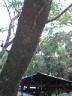 060831_1324~0001.jpg