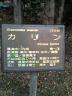 061004_1415~0002.jpg