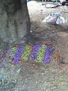 070510_1031~0001.jpg