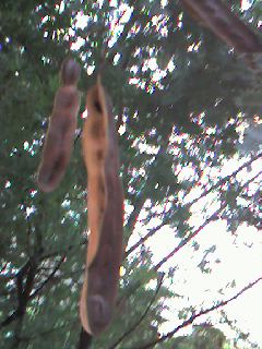 070619_1558~0001.jpg