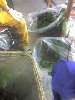070620_1525~0002.jpg