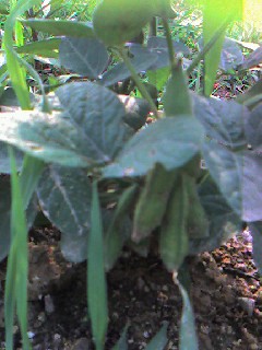 070626_1606~0002.jpg